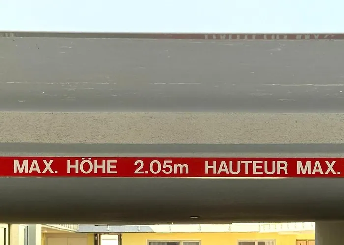 Salute 105 * 로이커바드