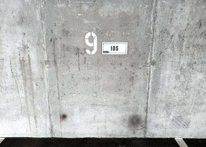 Salute 105 * 로이커바드